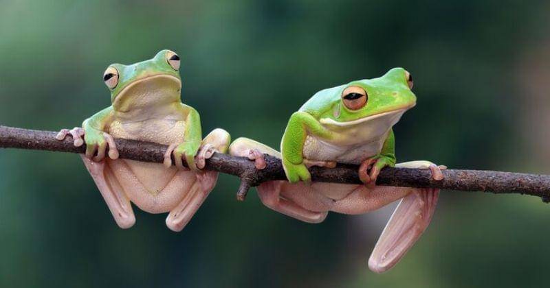 Freepik/kuritafsheen77